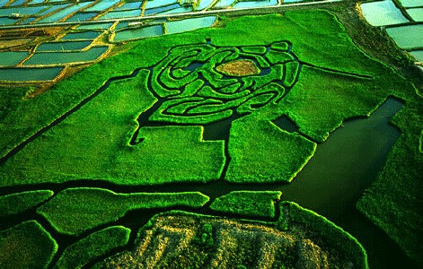 6731������Ϸ(�й���)-�ٷ���վ