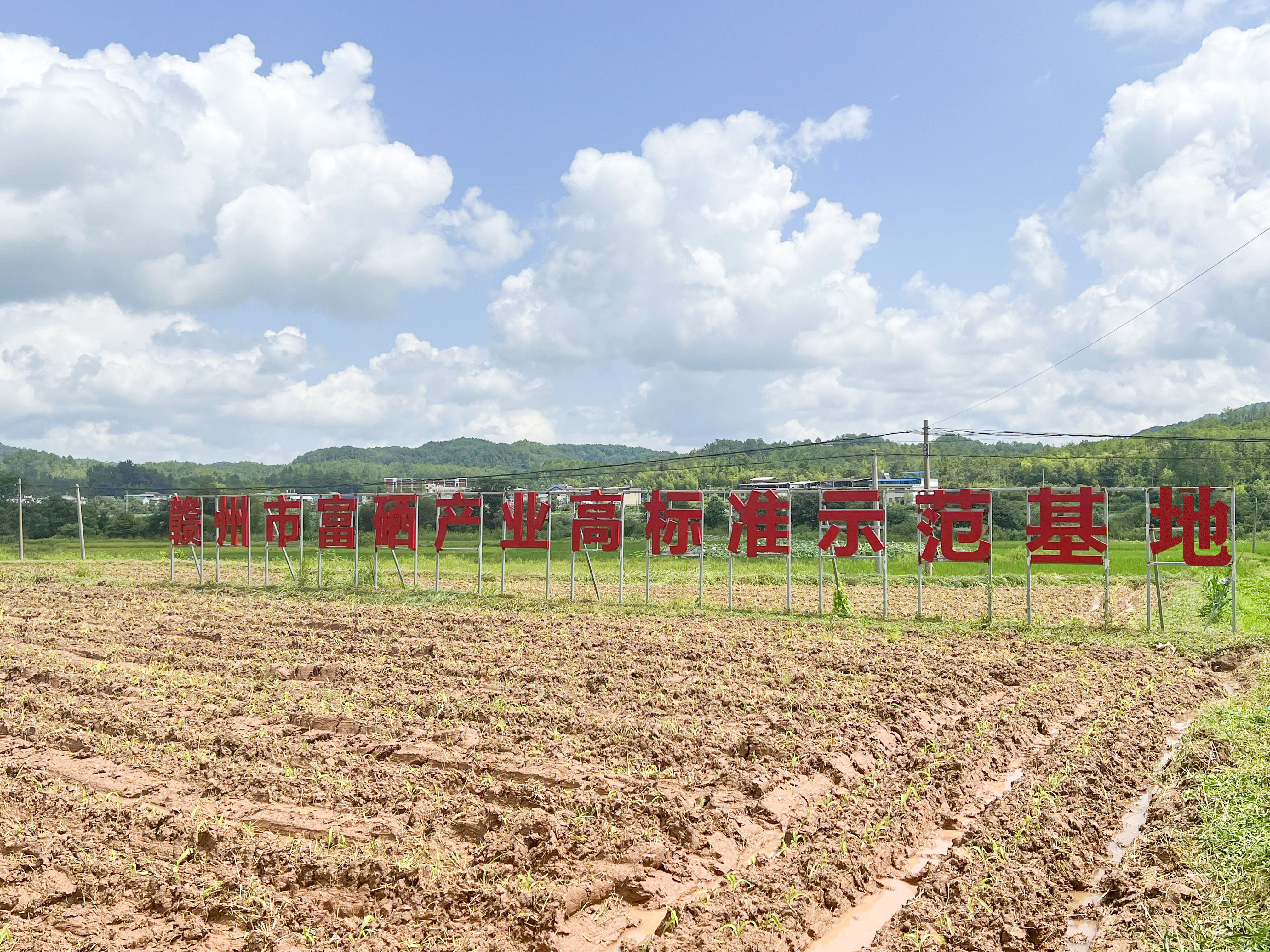 6731������Ϸ(�й���)-�ٷ���վ