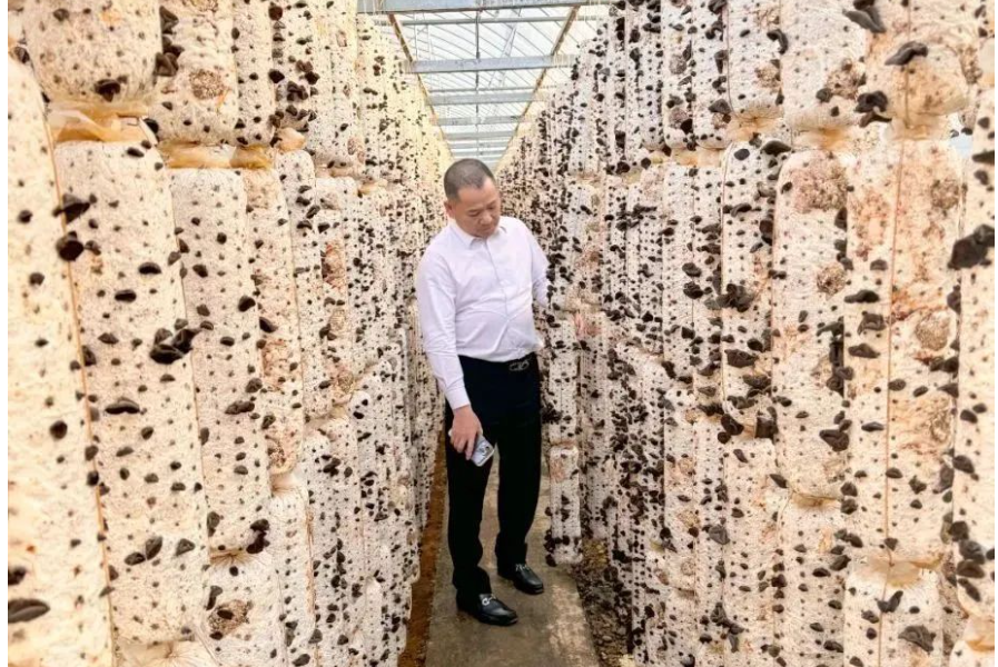 6731������Ϸ(�й���)-�ٷ���վ