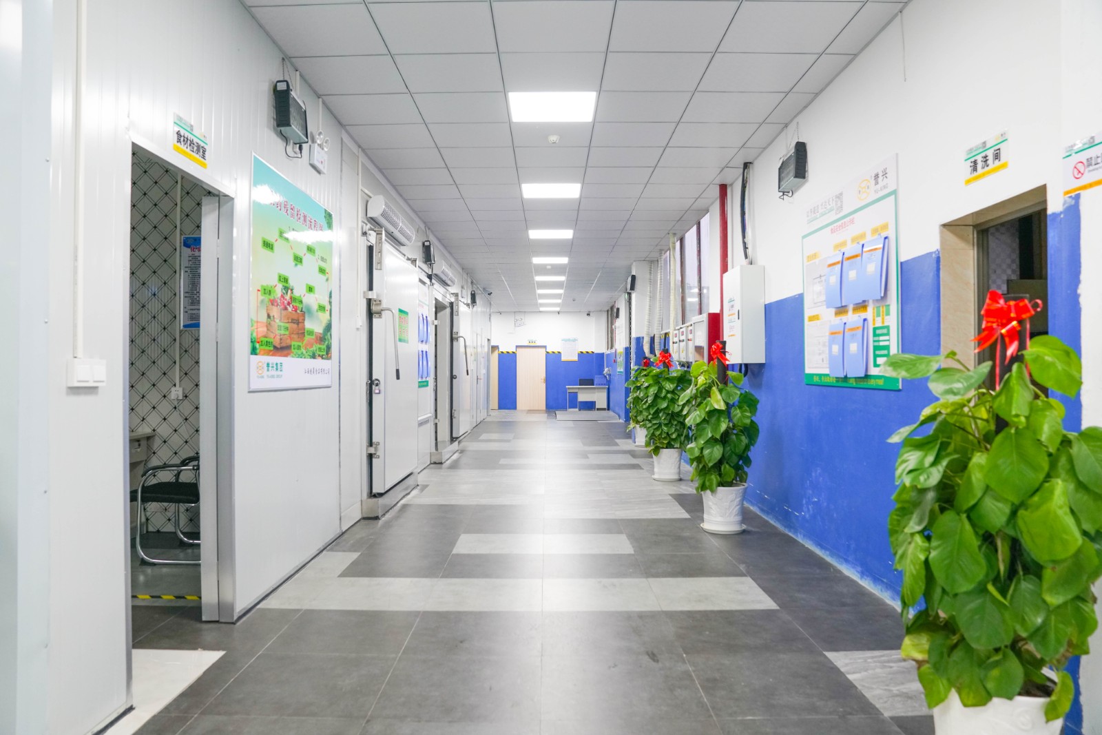 1678439485150359.jpg 1678439485150359.jpg