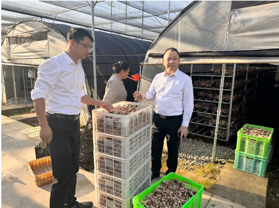 1698651112128476.png 1698651112128476.png