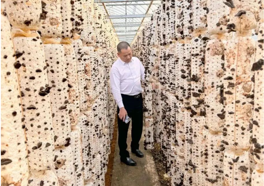 1698651171450560.png 1698651171450560.png