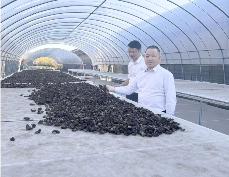 1698651231143976.png 1698651231143976.png